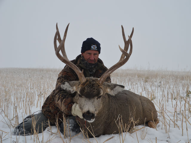 Trophy Mule Deer Hunt