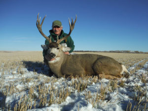 Trophy Mule Deer Hunt