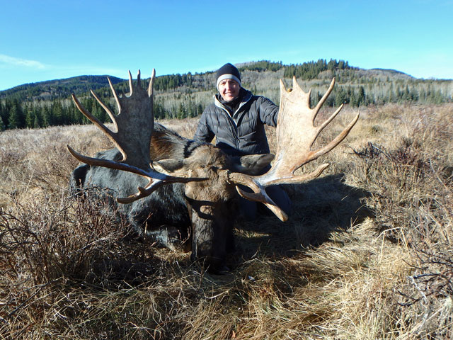 trophy moose hunt