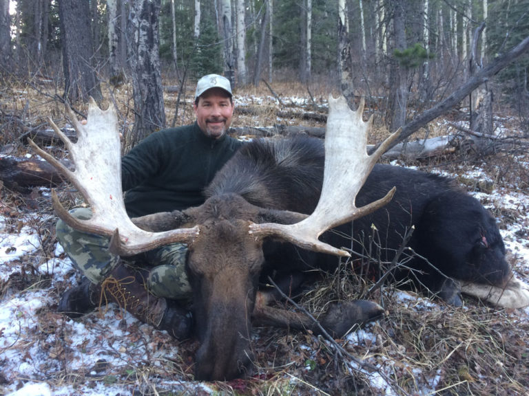 trophy moose hunt