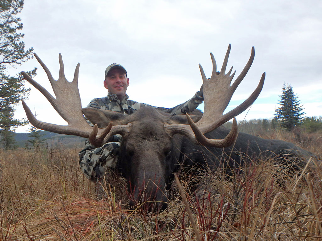 trophy moose hunt