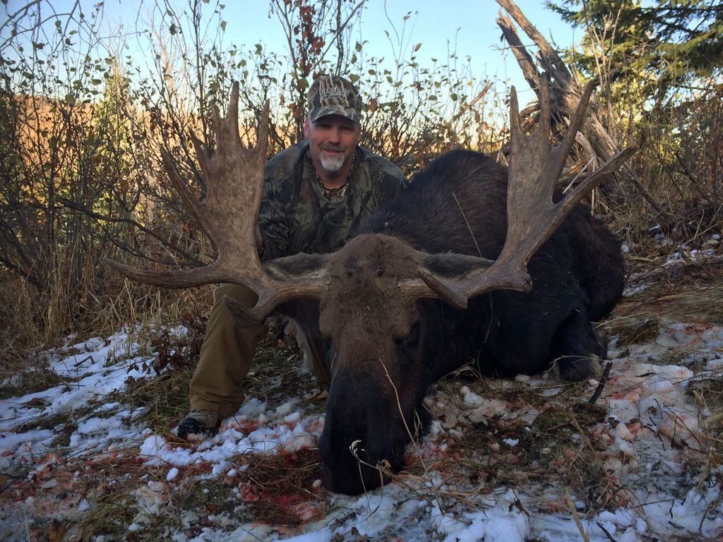 trophy moose hunt