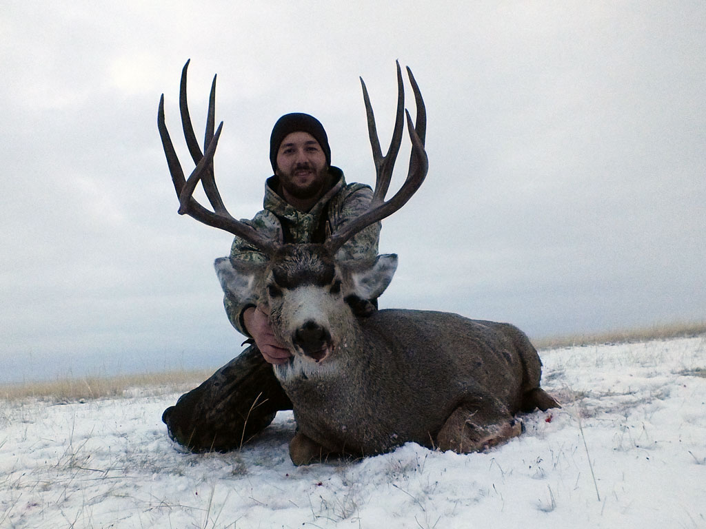 Trophy Mule Deer Hunt