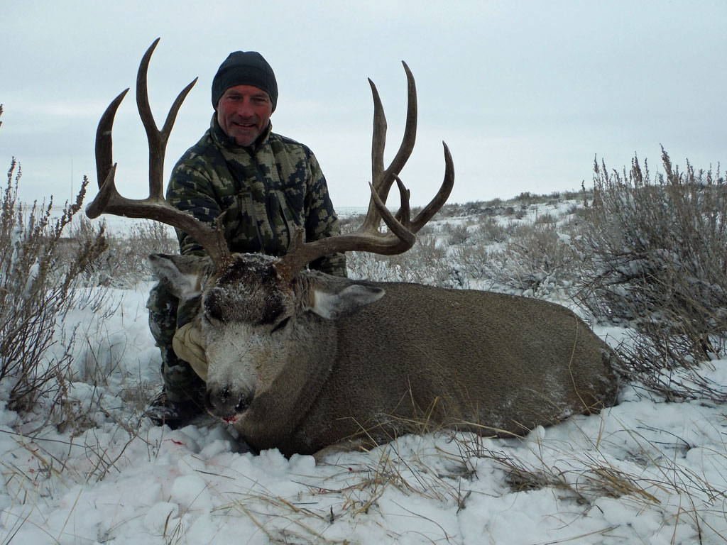 Trophy Mule Deer Hunt