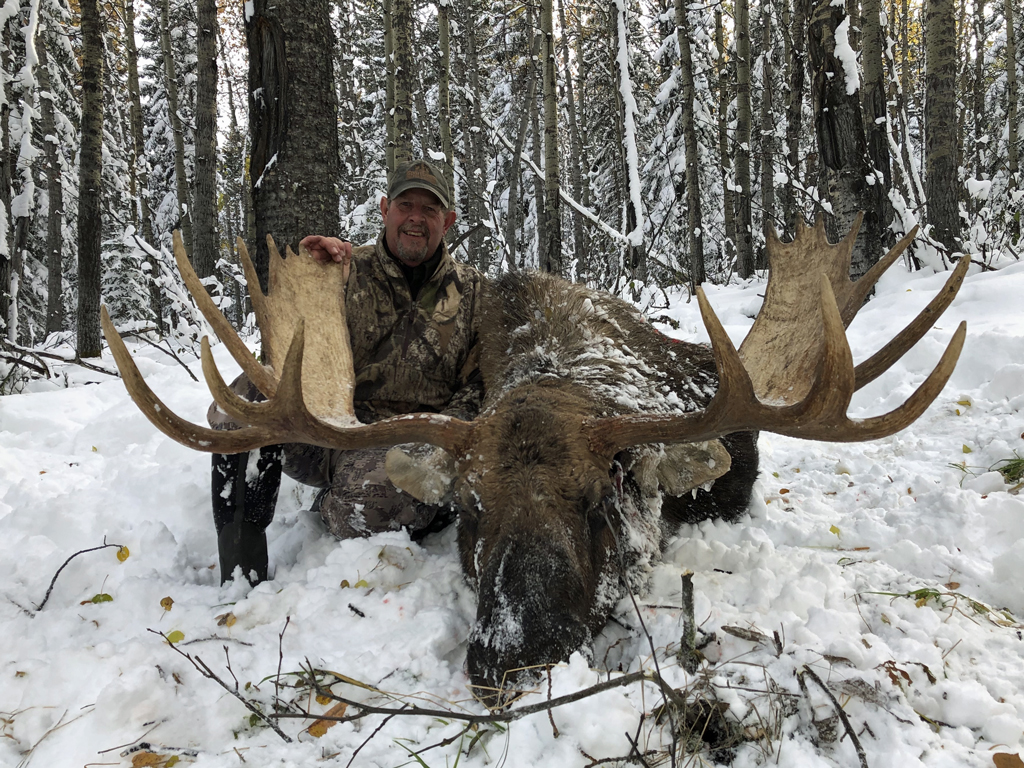 trophy moose hunt