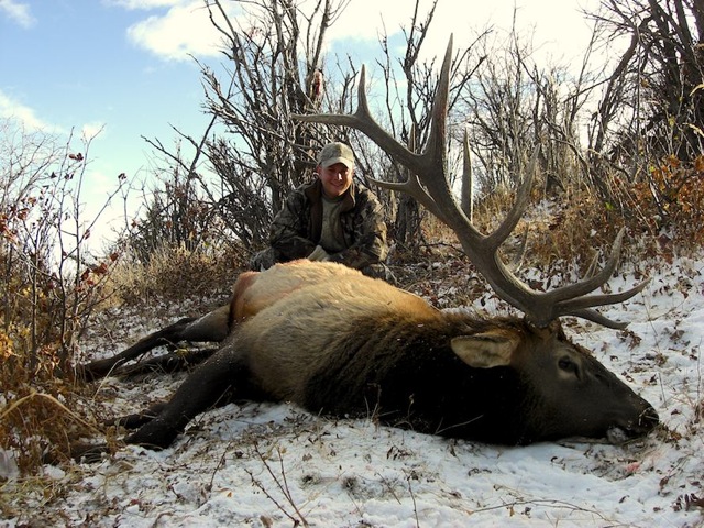 trophy elk hunt