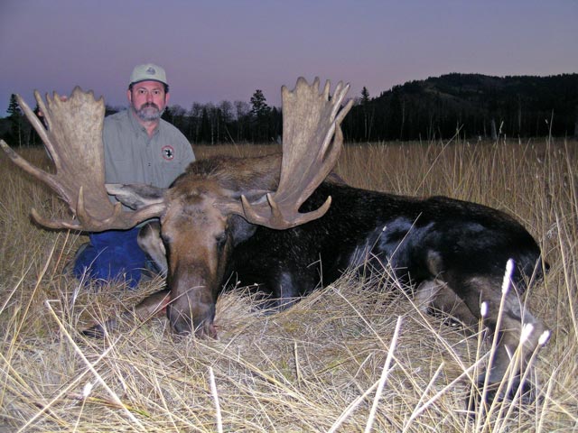 Trophy Moose Hunt